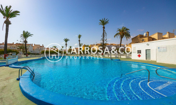 A Vendre - Semi-detached house - Torrevieja - Torreta florida