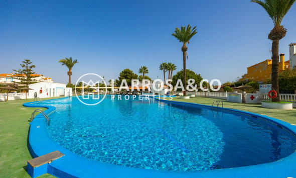 A Vendre - Semi-detached house - Torrevieja - Torreta florida