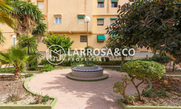 A Vendre - Apartment - Torrevieja - La Mata