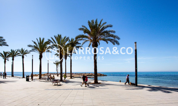 Herverkoop - Apartment - Torrevieja - Playa del cura