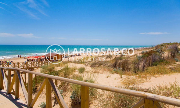 A Vendre - Semi-detached house - Guardamar del Segura - El moncayo