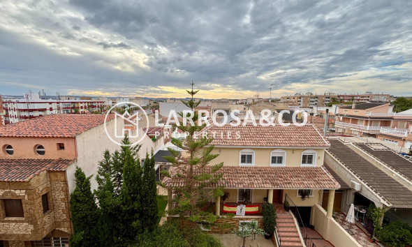 A Vendre - Apartment - Los Montesinos - LOS MONTESINOS