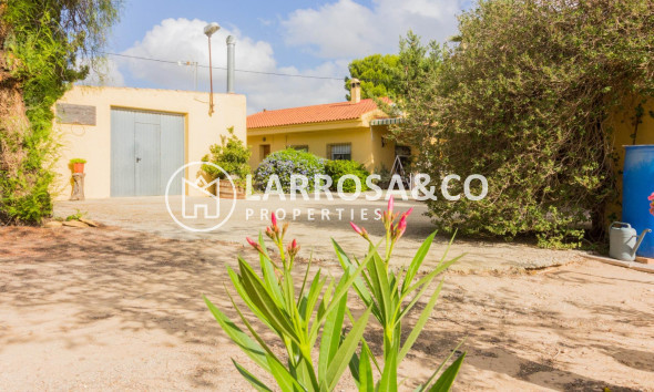 A Vendre - Semi-detached house - Orihuela - La Matanza