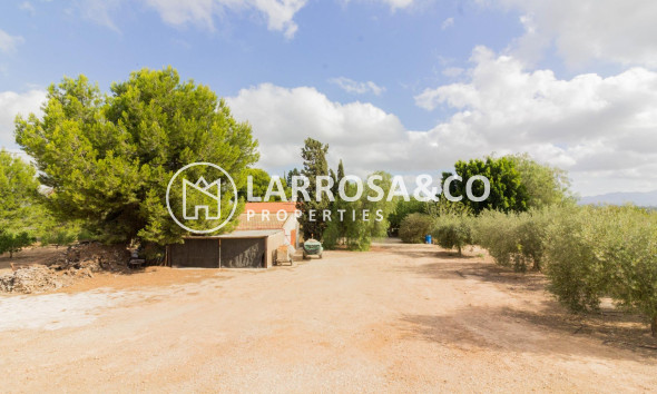 A Vendre - Semi-detached house - Orihuela - La Matanza