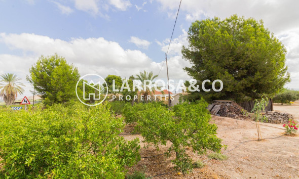 A Vendre - Semi-detached house - Orihuela - La Matanza