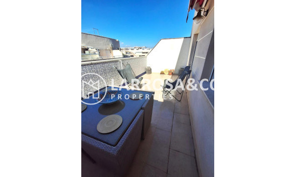 Resale - Penthouse  - Torrevieja - Los Locos Beach