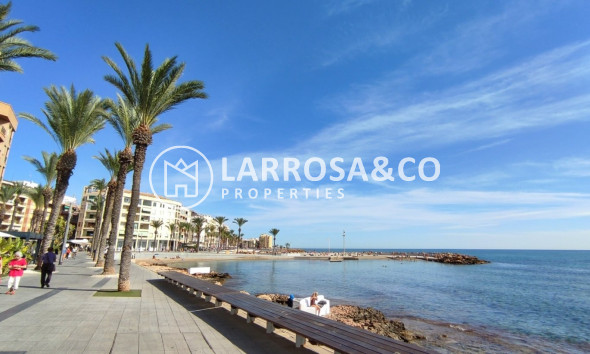 Reventa - Planta baja - Torrevieja - Playa del cura