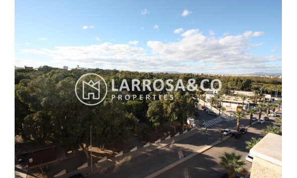 Reventa - Apartamento - Guardamar del Segura