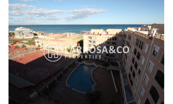 Reventa - Apartamento - Guardamar del Segura