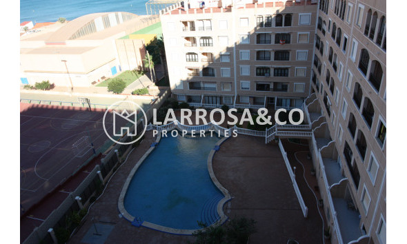 Reventa - Apartamento - Guardamar del Segura