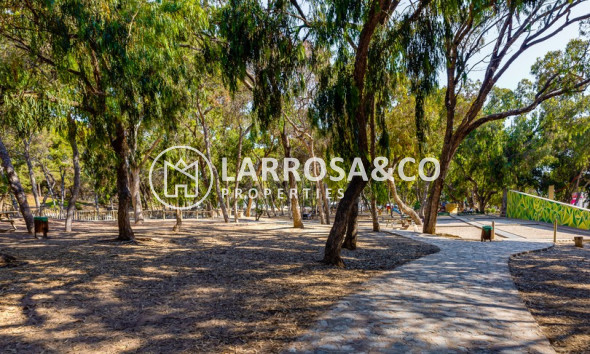 A Vendre - Casa de Pueblo - Guardamar del Segura