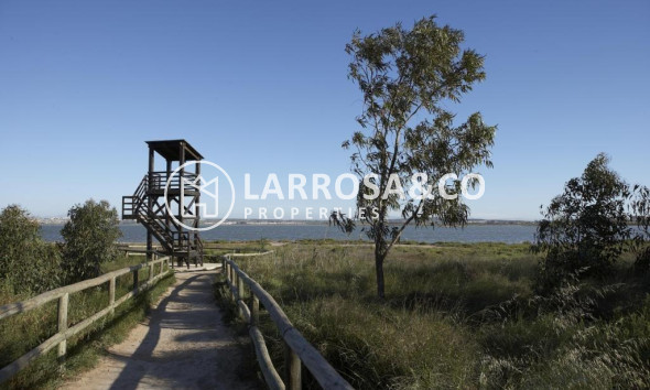 Obra Nueva - Bungalow - Torrevieja - Torrejón