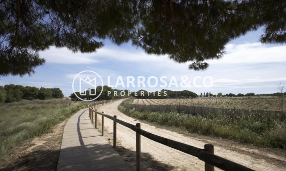 New build - Bungalow - Torrevieja - Aguas Nuevas