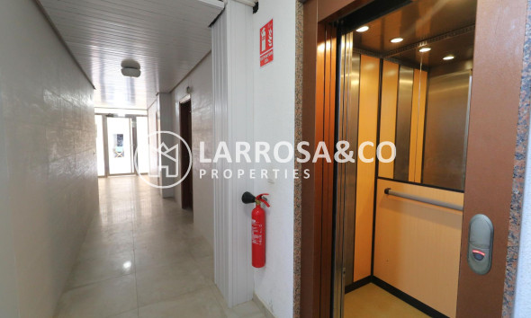 A Vendre - Penthouse  - Torrevieja - Playa de los Naufragos