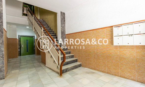 A Vendre - Apartment - Orihuela - Zona Centro