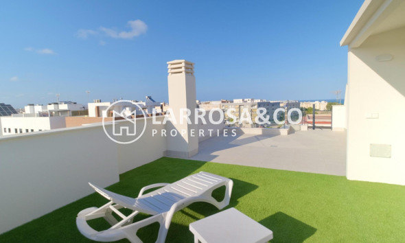 New build - Detached House/Villa - Guardamar del Segura - Els secans