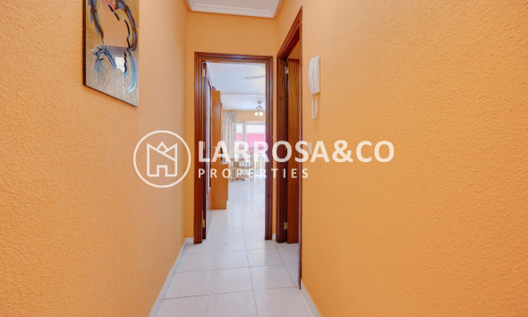 Reventa - Apartamento - Torrevieja - Playa Los Locos