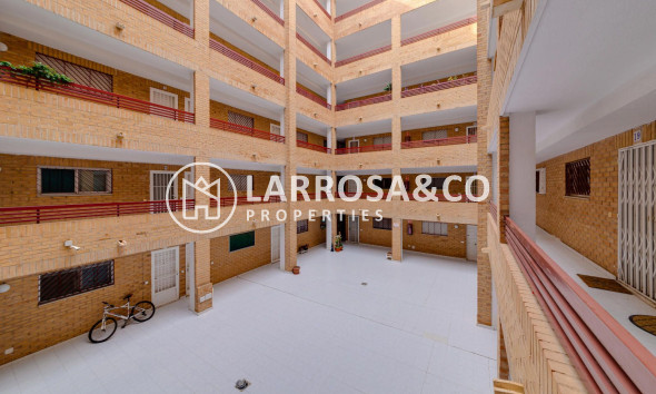 Reventa - Apartamento - Torrevieja - Playa Los Locos