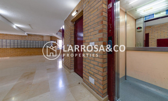 Reventa - Apartamento - Torrevieja - Playa Los Locos