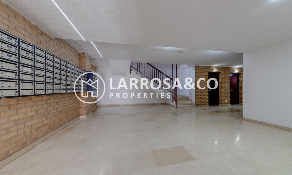 Reventa - Apartamento - Torrevieja - Playa Los Locos