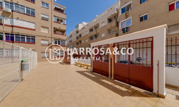 Reventa - Apartamento - Torrevieja - Playa Los Locos