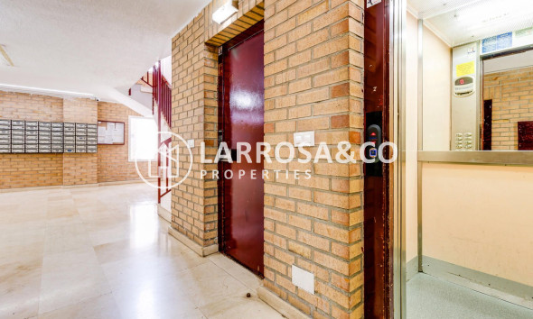 Reventa - Apartamento - Torrevieja - Playa Los Locos