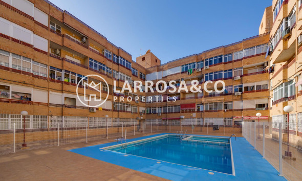 Reventa - Apartamento - Torrevieja - Playa Los Locos