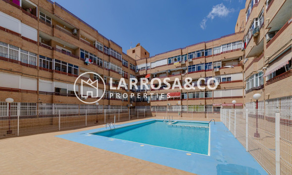 Reventa - Apartamento - Torrevieja - Playa Los Locos