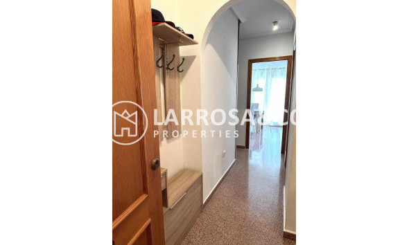 A Vendre - Penthouse  - Torrevieja - Parque las naciones