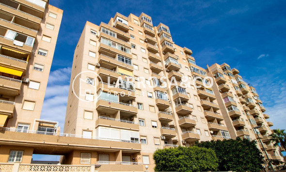 A Vendre - Apartment - Torrevieja - Nueva Torrevieja