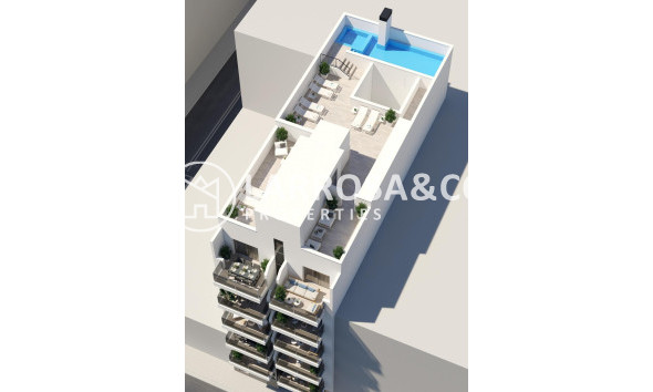 Nouvelle Construction - Apartment - Torrevieja - Playa del cura