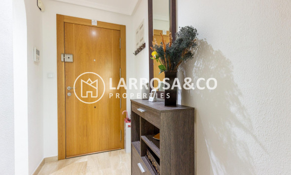 A Vendre - Apartment - Orihuela - Zona Centro