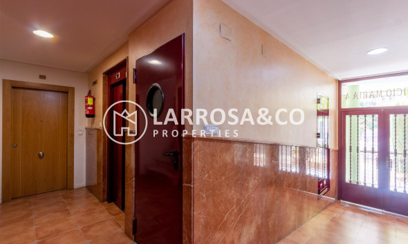 A Vendre - Apartment - Orihuela - Zona Centro