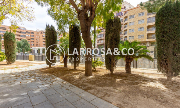 A Vendre - Apartment - Orihuela - Zona Centro