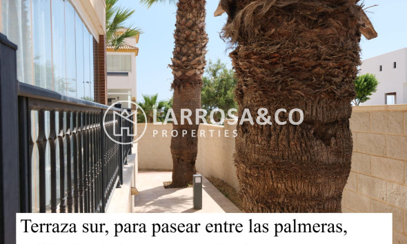 Resale - Apartment - Guardamar del Segura - Marjal beach