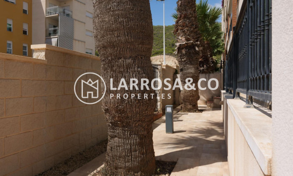 Resale - Apartment - Guardamar del Segura - Marjal beach