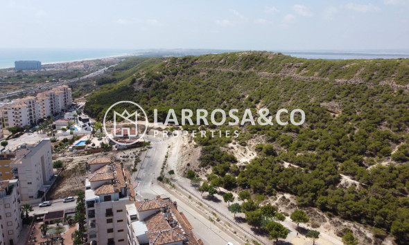 Resale - Apartment - Guardamar del Segura - Marjal beach