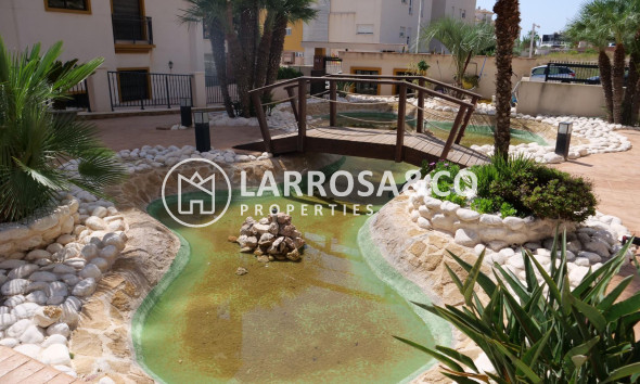 Resale - Apartment - Guardamar del Segura - Marjal beach