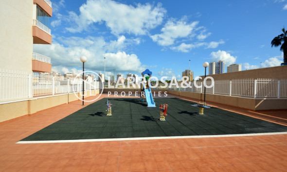 Resale - Apartment - Guardamar del Segura - SUP 7