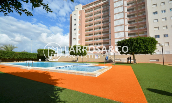 Resale - Apartment - Guardamar del Segura - SUP 7