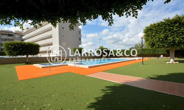 Resale - Apartment - Guardamar del Segura - SUP 7