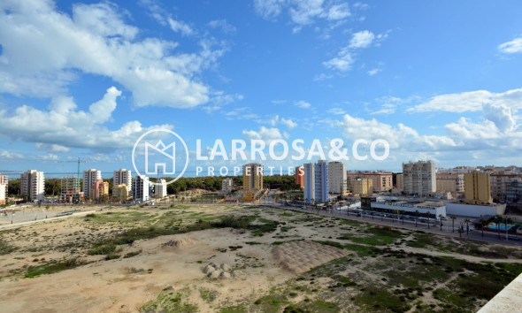 Resale - Apartment - Guardamar del Segura - SUP 7