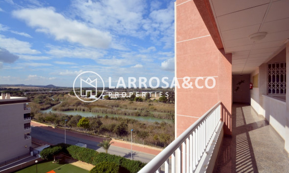 Resale - Apartment - Guardamar del Segura - SUP 7