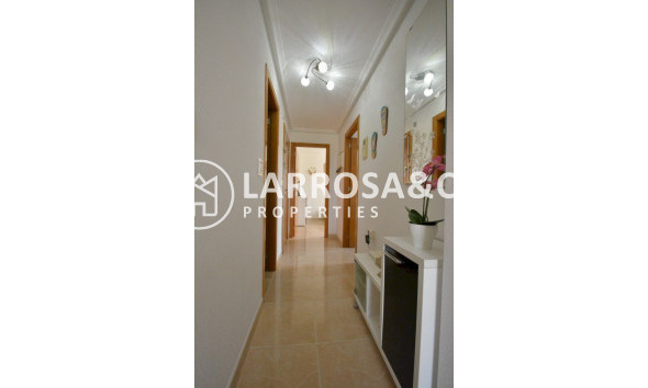 Resale - Apartment - Guardamar del Segura - SUP 7