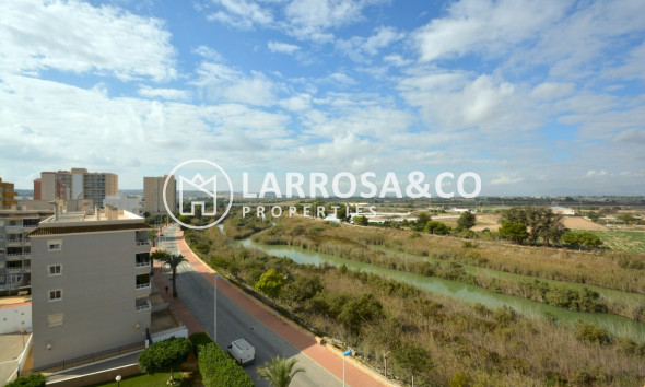 Resale - Apartment - Guardamar del Segura - SUP 7