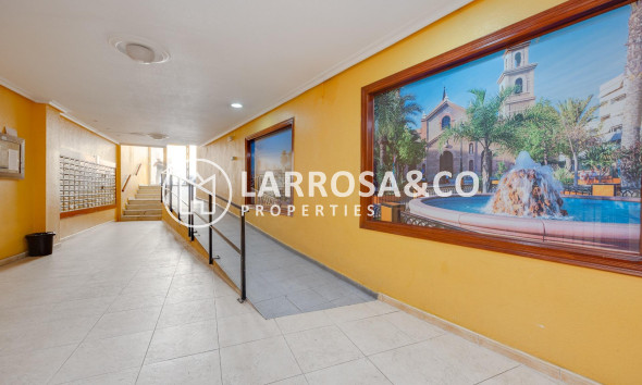 Resale - Apartment - Torrevieja - Centro