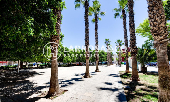 Resale - Apartment - Torrevieja - Centro