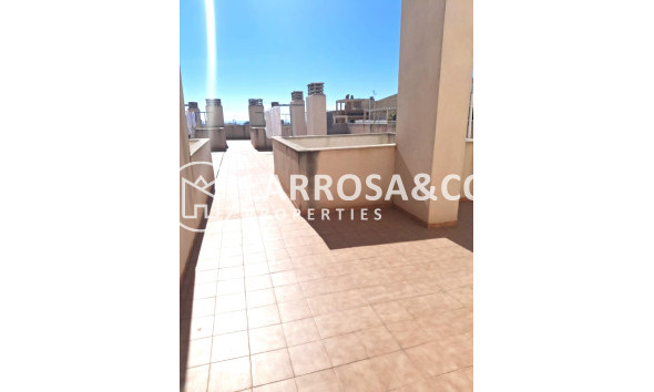 Resale - Penthouse  - Torrevieja - Los Locos Beach