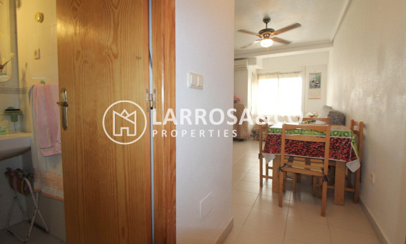 Resale - Apartment - Torrevieja - Habaneras