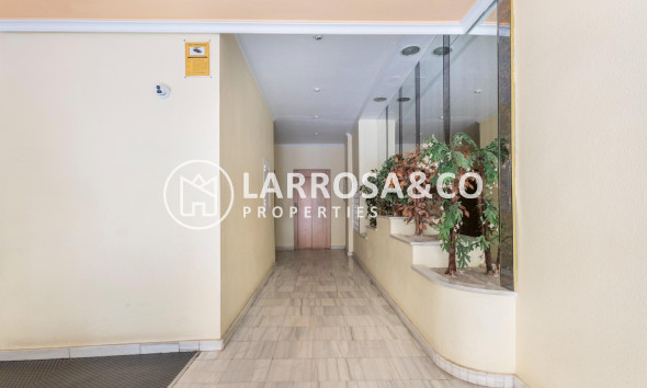 A Vendre - Apartment - Torrevieja - Playa del cura